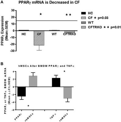 Enhancing Cystic Fibrosis Immune Regulation